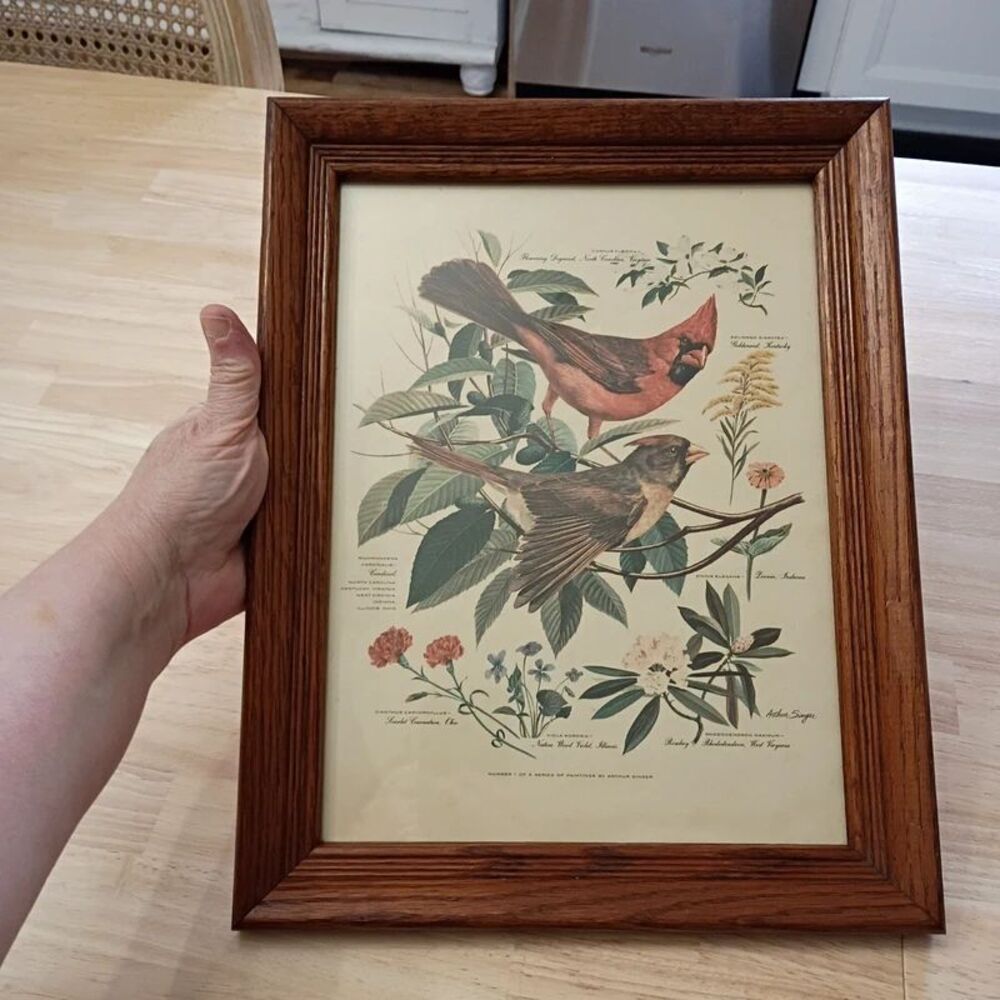 Vintage Arthur Singer Wood Framed Wildlife Cardinal Birds Print